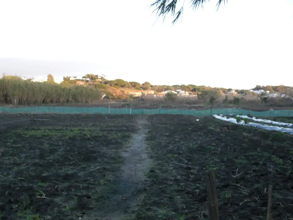 Casa rústica en venda a Barbate ciudad, imagen 5
