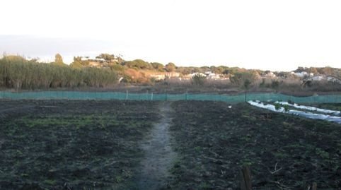 Finca Rúst. en venta en El Soto., imatge 5