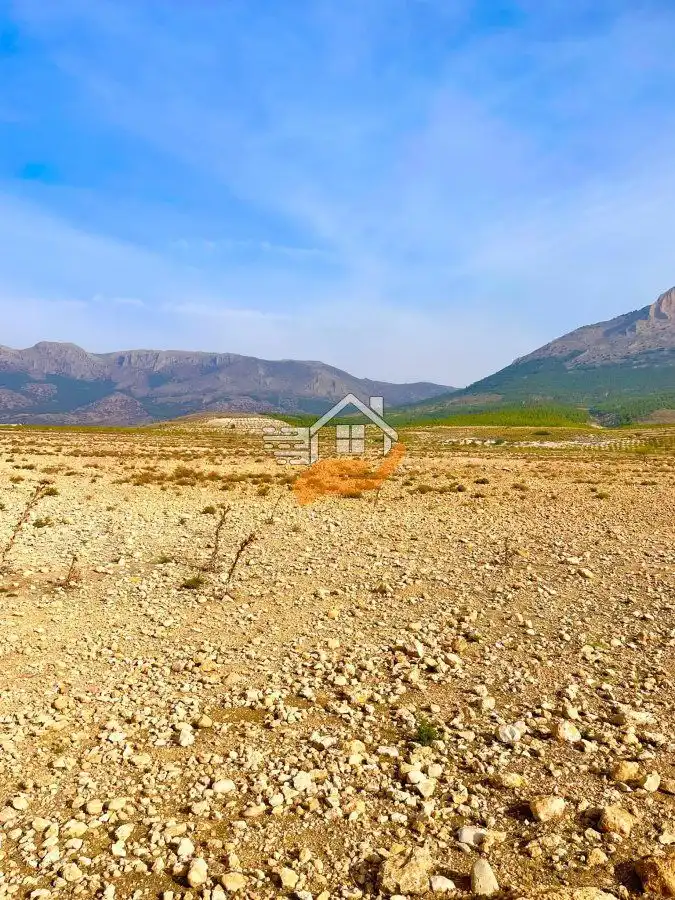Residential land for sale in Vélez-Rubio, imagen 10