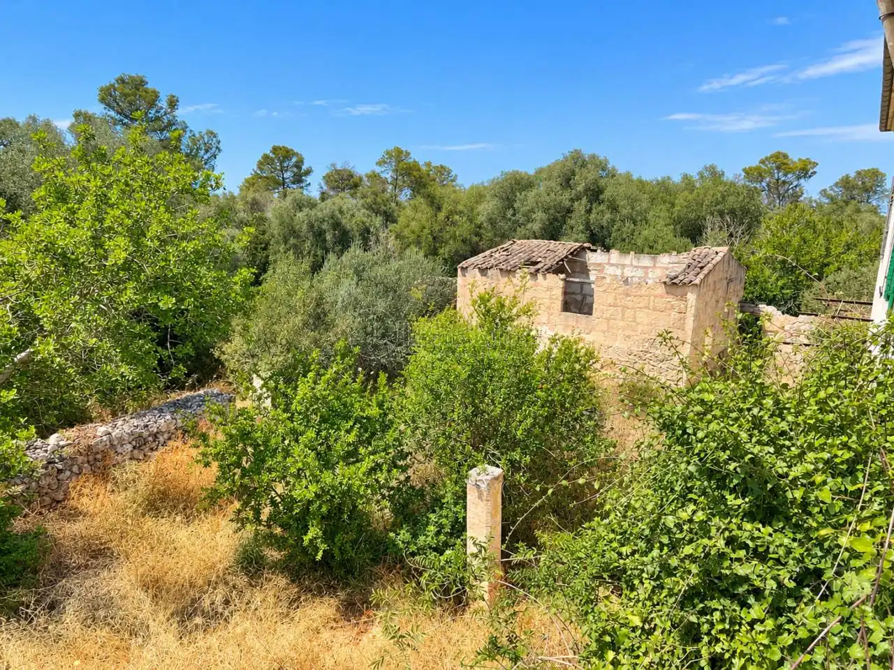 Terreny rústic en venda a Sineu, imagen 12