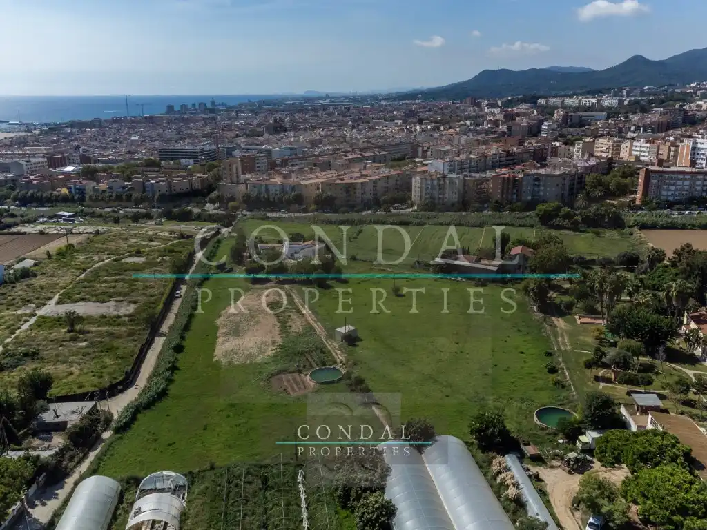 Casa o chalet en venta en El Palau - Escorxador