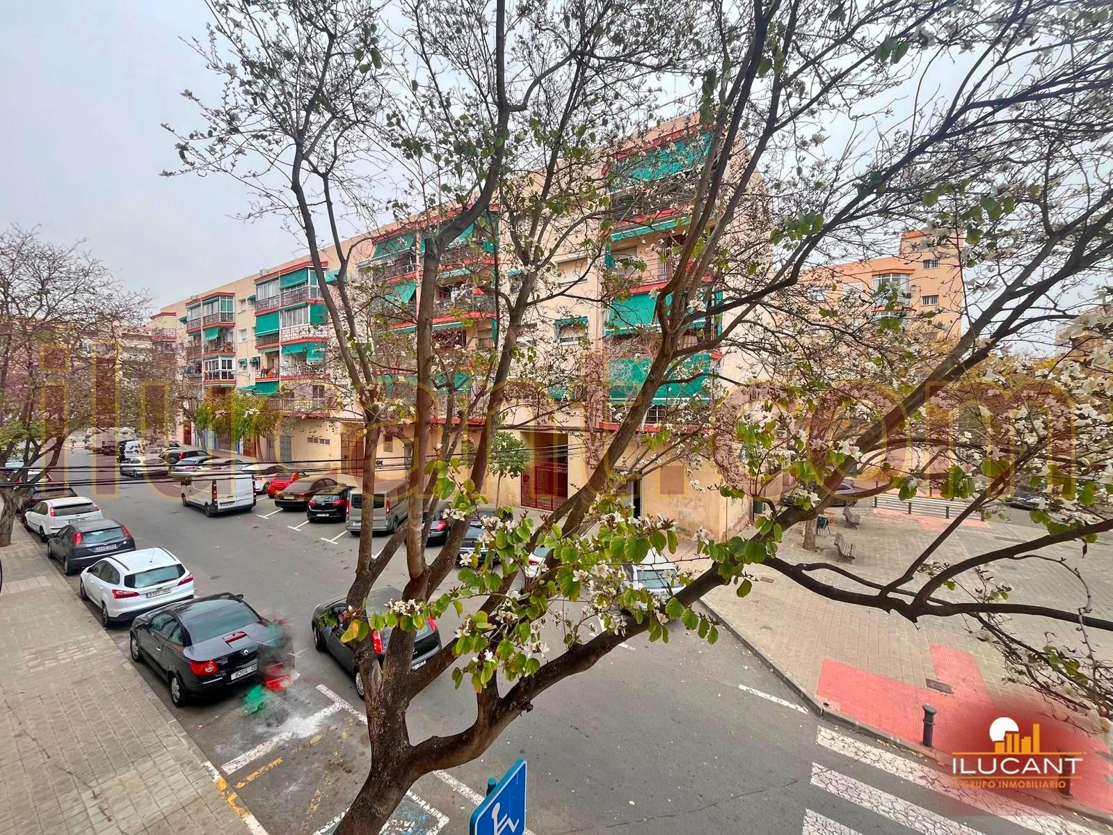 Vista exterior de Piso en venta en Alicante / Alacant con Amueblado