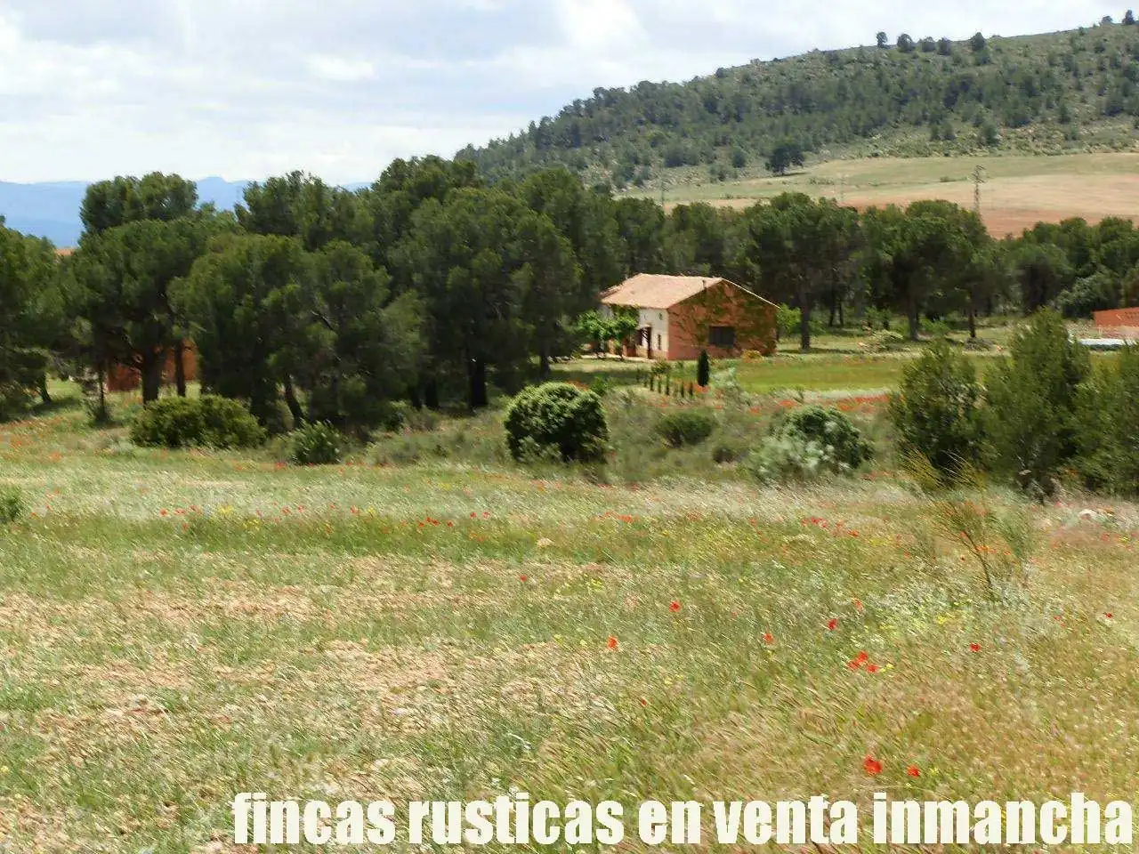 Terreni e lotti in vendita a Elche de la Sierra, imagen 29