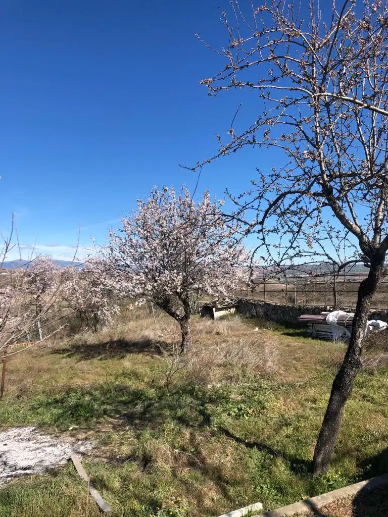 Finca rústica en venta en El Molar (Madrid) con Jardín privado, Terraza y Trastero