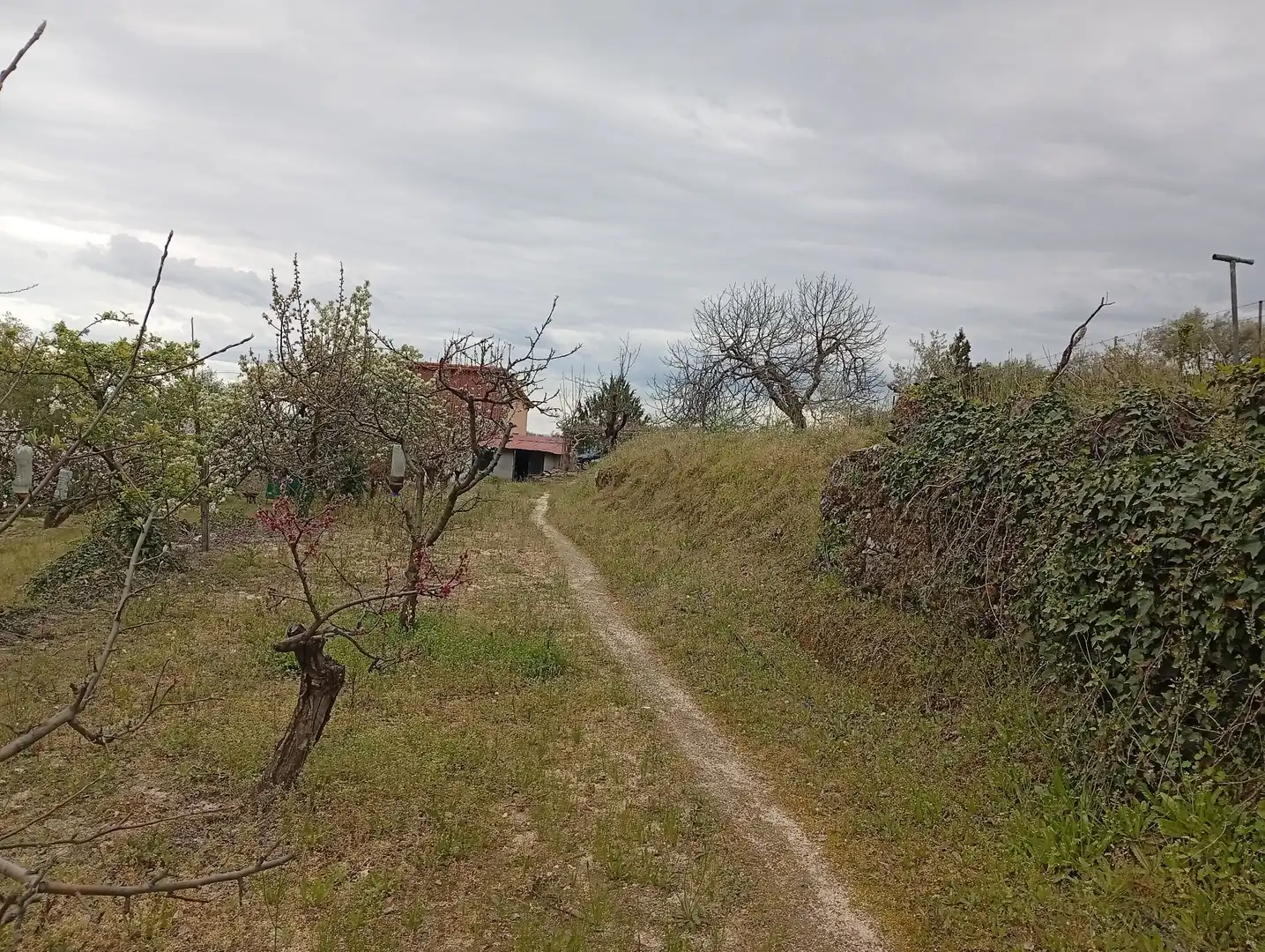 Terreni e lotti in vendita a Villanueva de la Vera, imagen 57