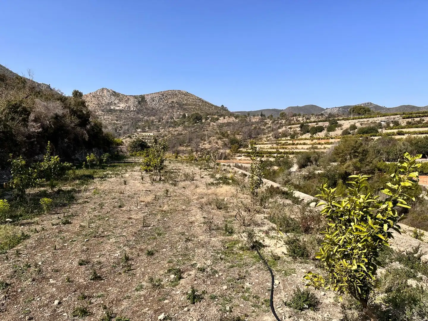 Residencial en venta en L'Atzúbia