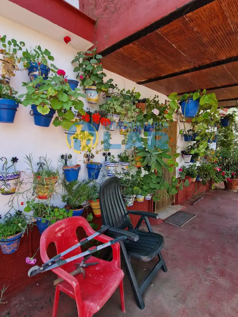 Terraza de Casa o chalet en venta en Trigueros