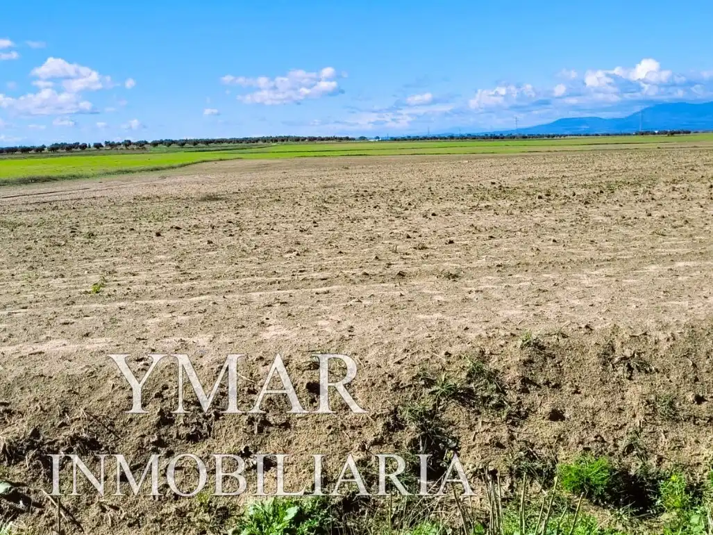 Rural land for sale in Santo Domingo-Caudilla, imagen 5