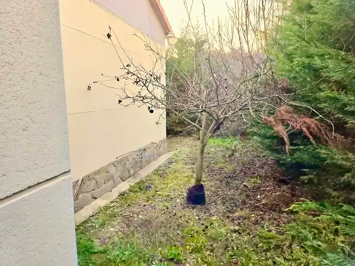 Chalet con jardín en venta en Calle Mayor 1, imagen 17