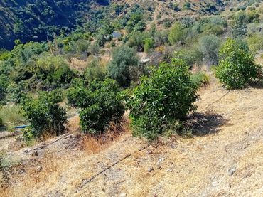 Terreno rustico in vendita a Yunquera