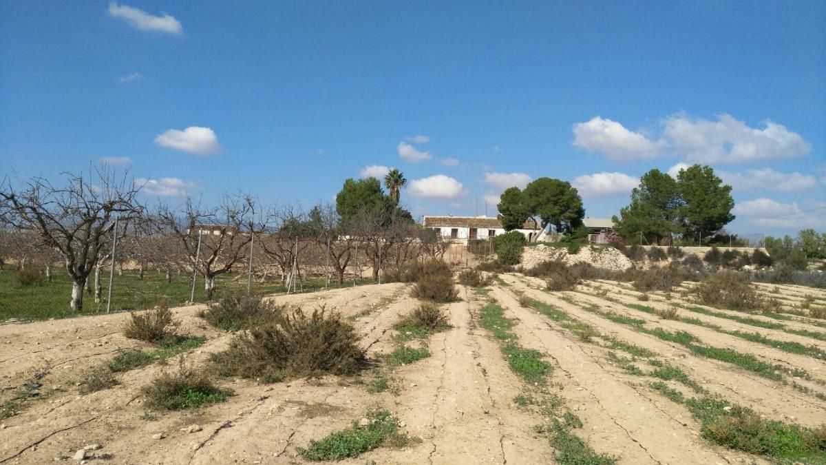Country house for sale in Fuente Álamo de Murcia