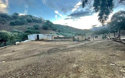 Land for sale in Alfalfa - Santa Cruz