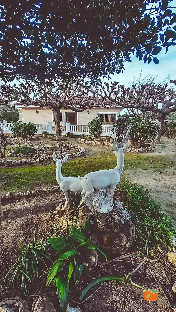 Villa avec piscine à vendre à Roquetes, imagen 3