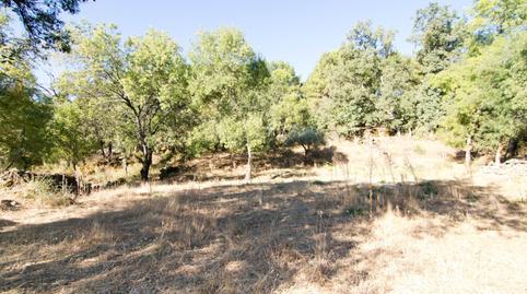 Photo 3 of Land for sale in Casavieja, Ávila