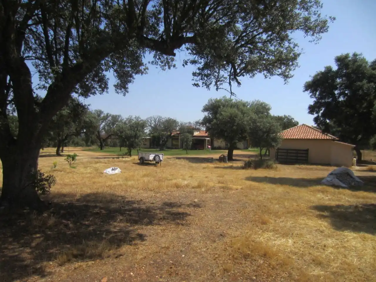 Terreno rustico in vendita a Carretera PASTORES 1, imagen 5