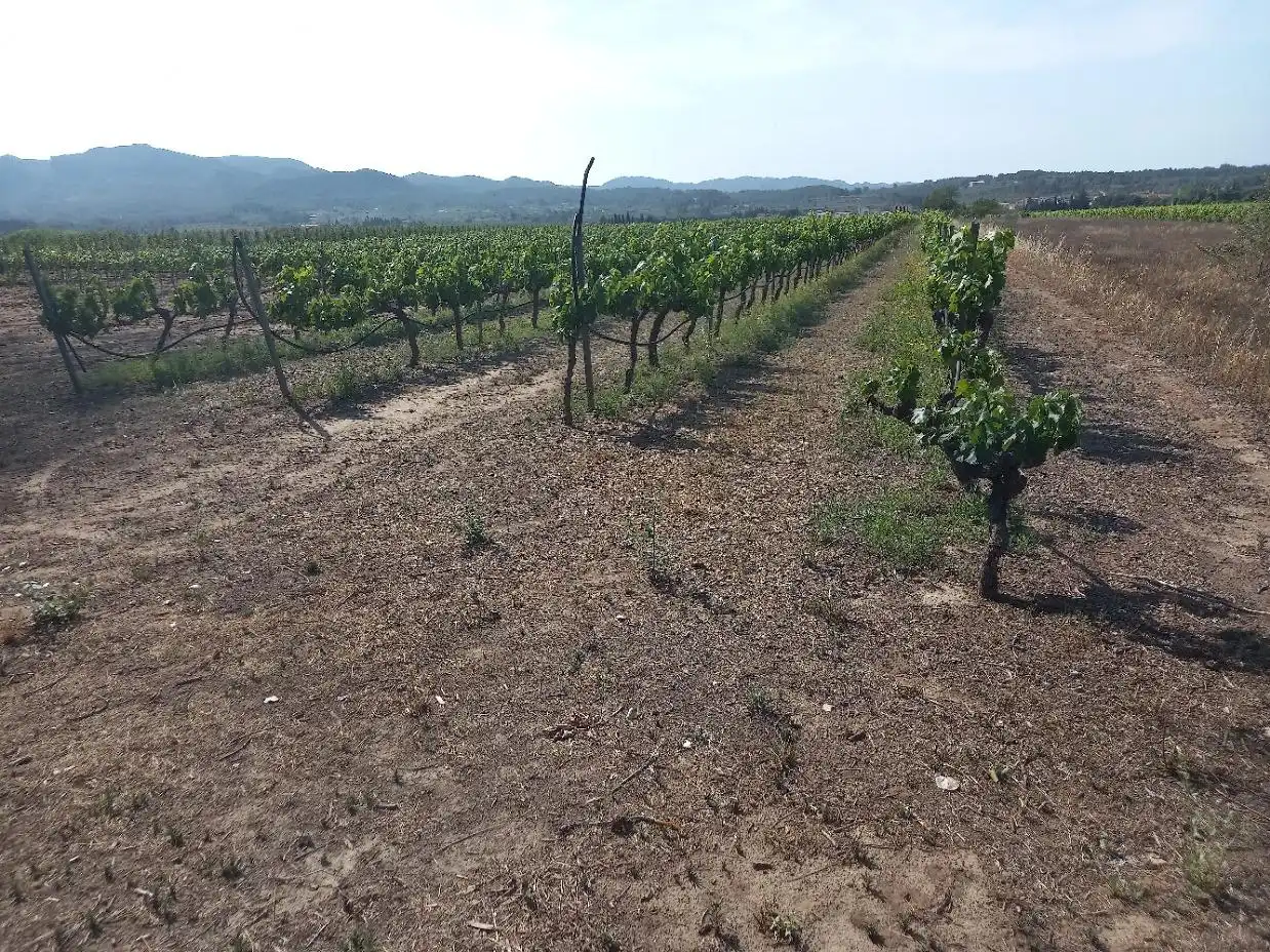 Lands and plots for sale in Ginestar, imagen 9