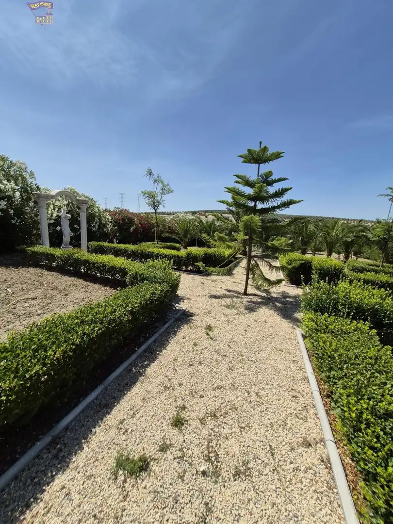 Casa rústica amb jardí en venda a Arcos de la Frontera, imagen 93