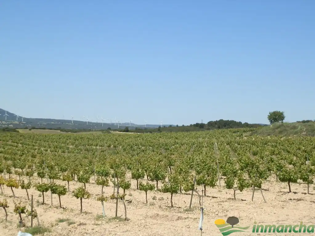 Terreni e lotti in vendita a Almansa, imagen 12