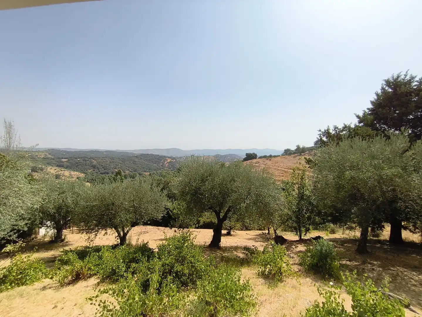 Casa rústica amb jardí en venda a Cazalla de la Sierra, imagen 20