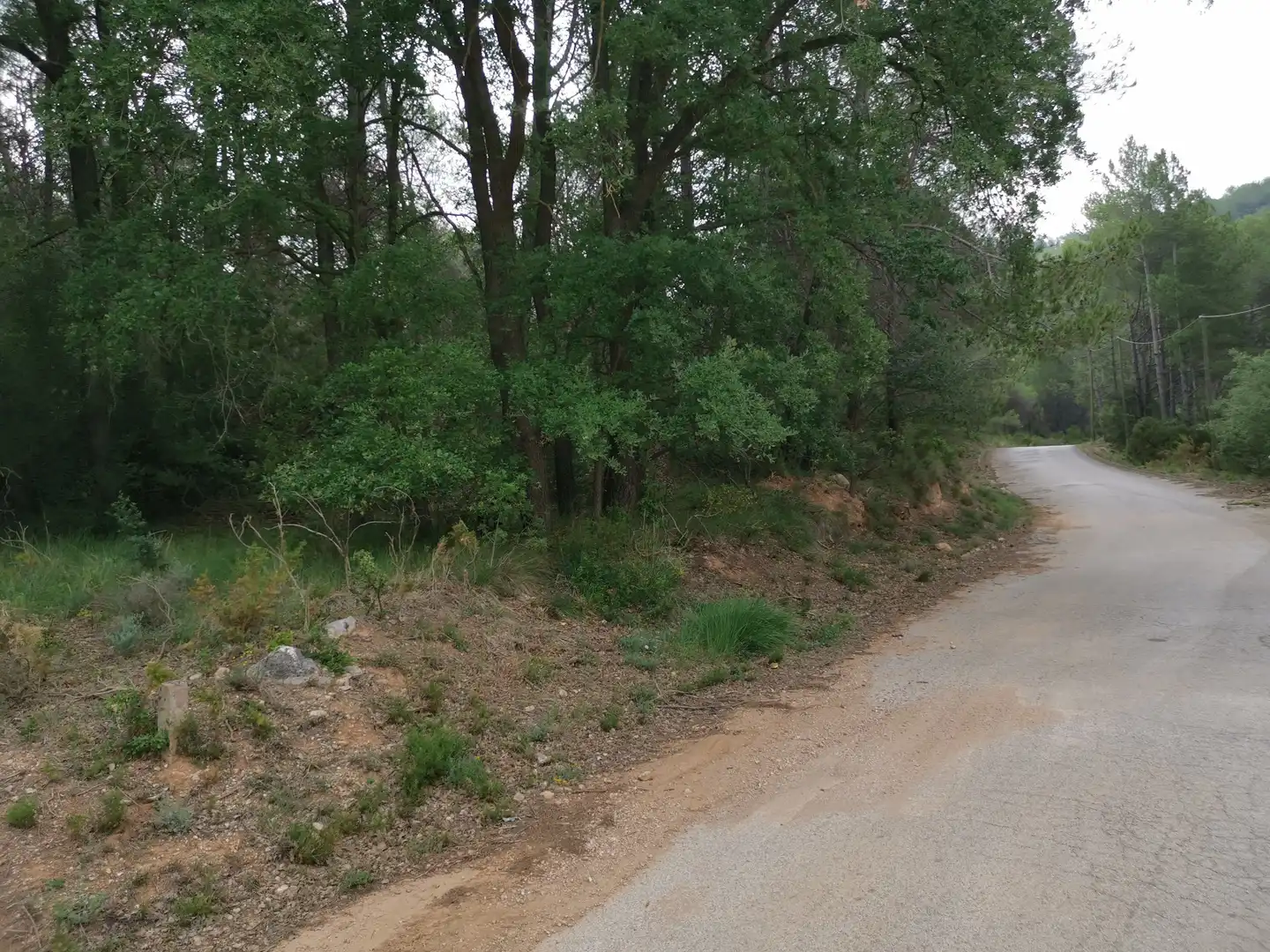 Terreny residencial en venda a El Montmell, imagen 4
