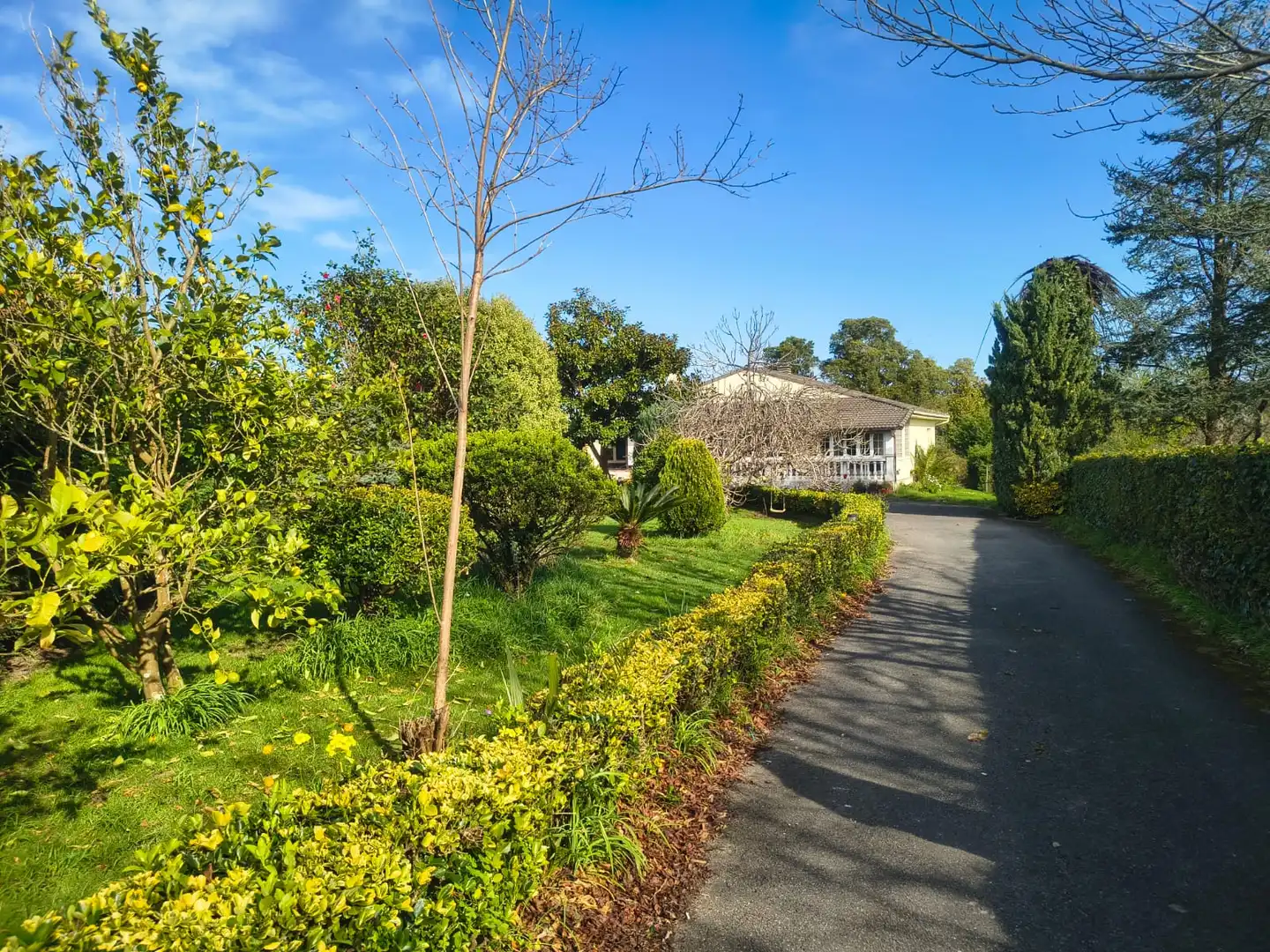 Vista exterior de Casa o xalet en venda en Villaviciosa amb Calefacció, Jardí privat i Terrassa