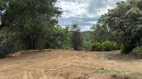 Foto 5 de Finca rústica en venda a Palol de Revardit, Girona