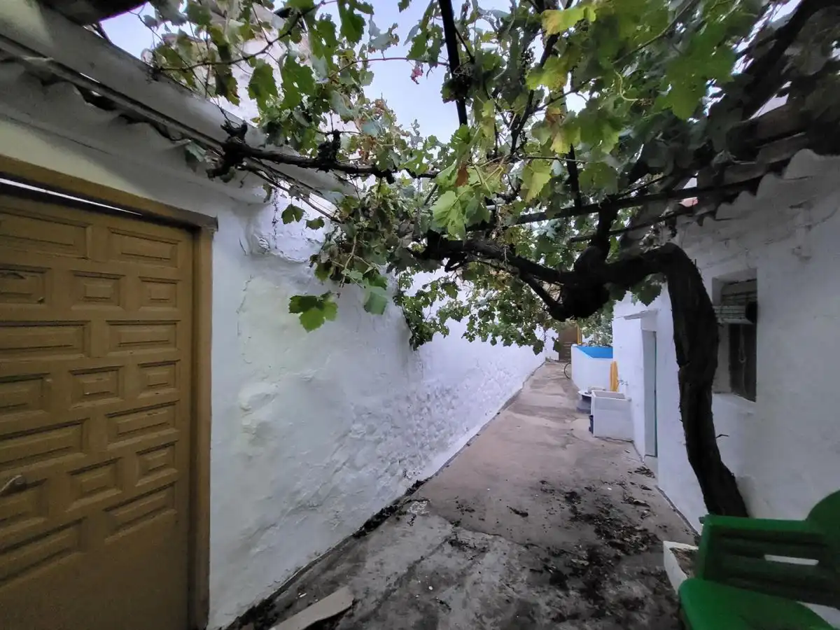 Vista exterior de Casa o xalet en venda en Sisante amb Piscina