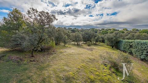 Foto 4 de Residencial en venda a Lugar Urbanizacion las Encinas, Monteclaro, Madrid
