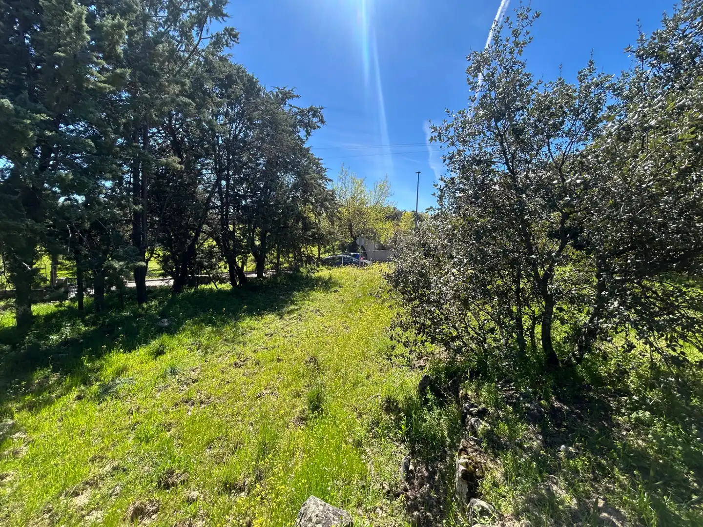 Terreno residencial en venta en Avenida de Pinares, imagen 8