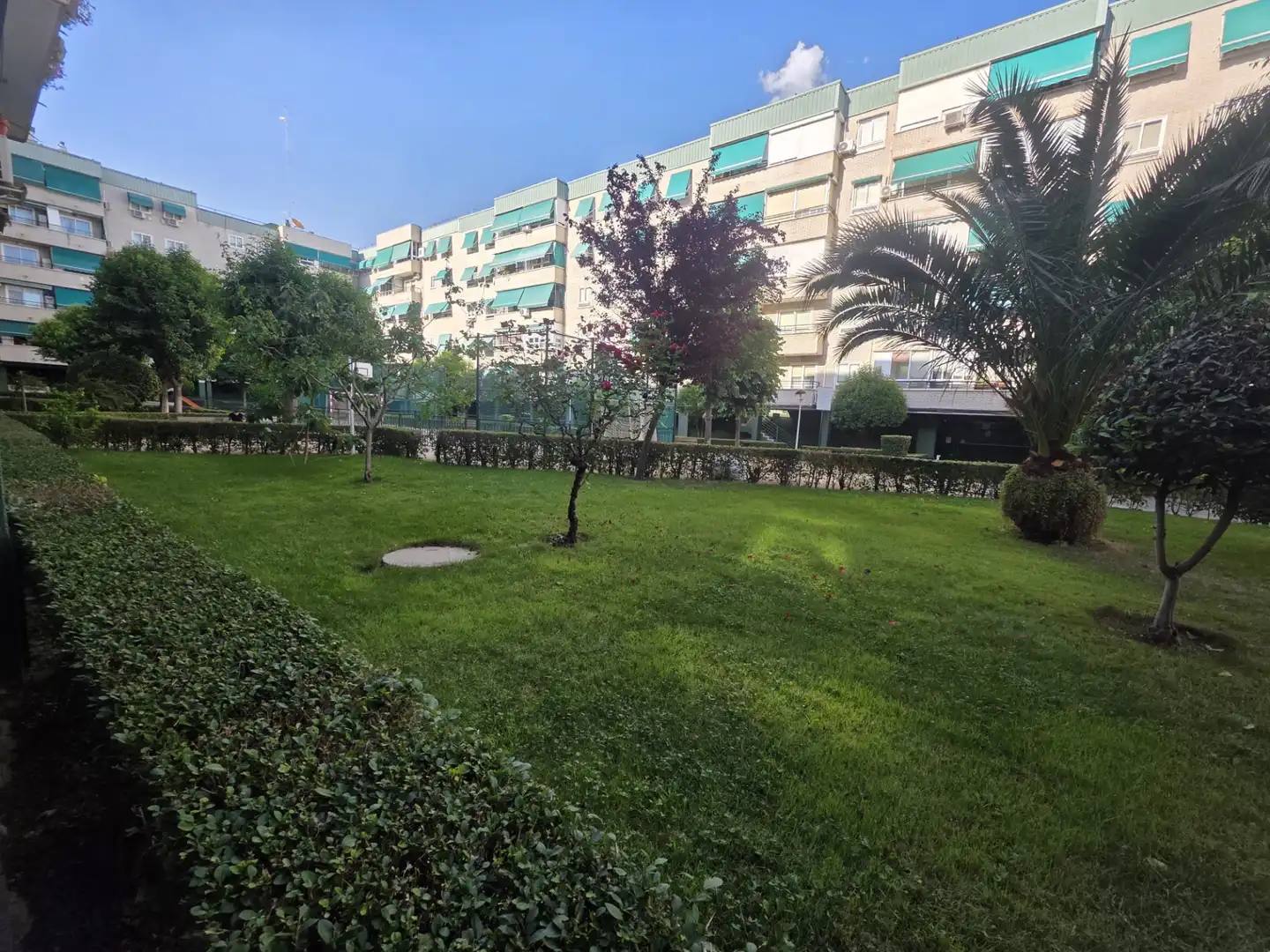Exterior view of Flat for sale in San Fernando de Henares  with Heating and Private garden