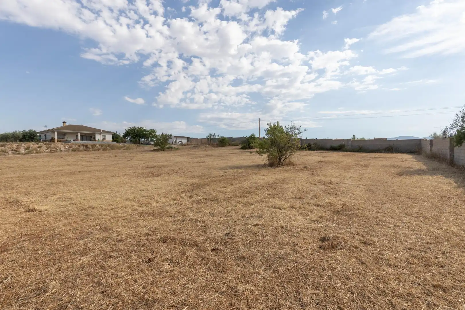 Rural land for sale in Moraleda de Zafayona, imagen 6