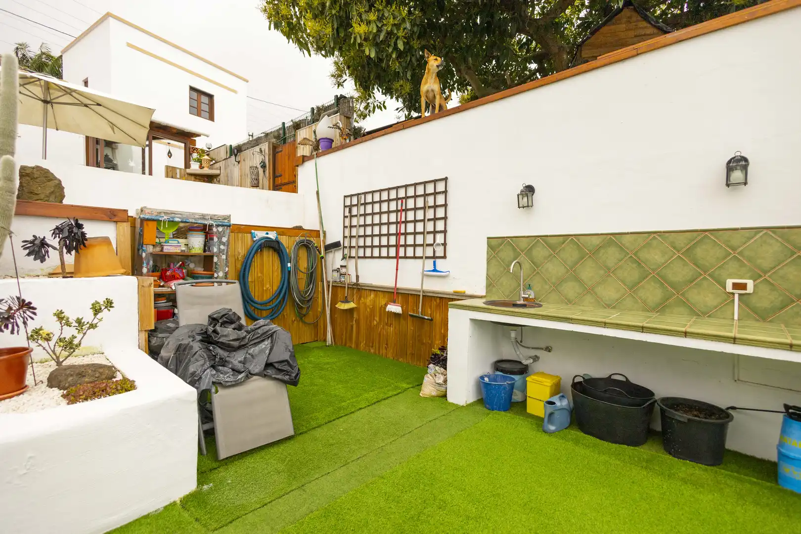 Casa o xalet en venda a Calle Treviña, 13, Palo Blanco