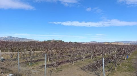 !Oportunidad en Ceutí! Finca de Regadío de 7.728 m2 Producción y Seguridad Jurídica Garantizada, immagine 2