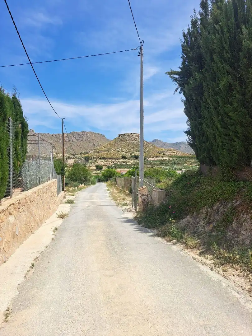 Residential land for sale in Abarán, imagen 14