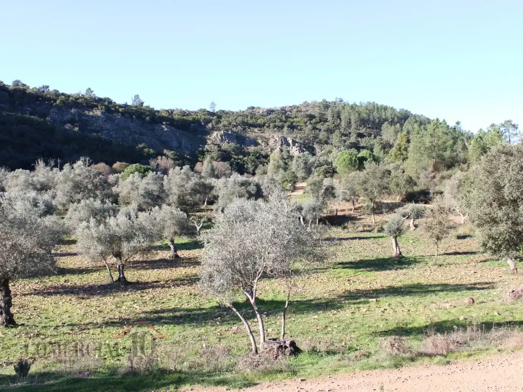 Maison à vendre à Alburquerque, imagen 31
