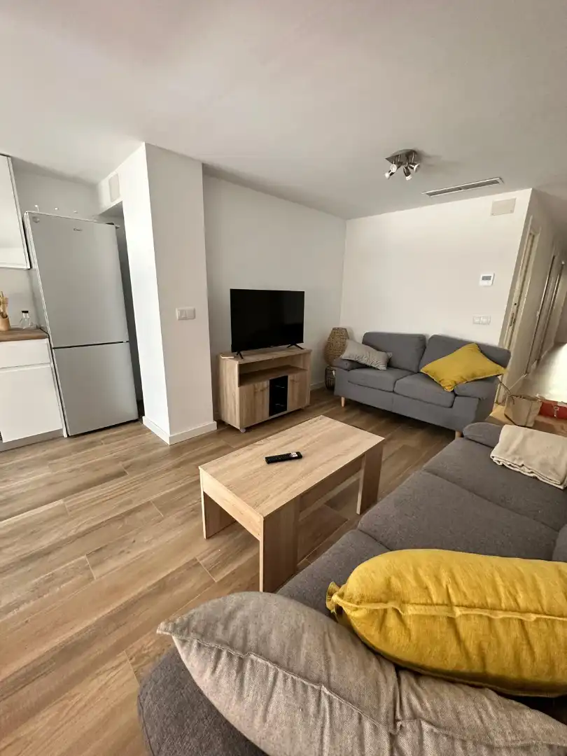 Sala de estar de Piso de alquiler en San Vicente del Raspeig / Sant Vicent del Raspeig con Aire acondicionado, Calefacción y Amueblado