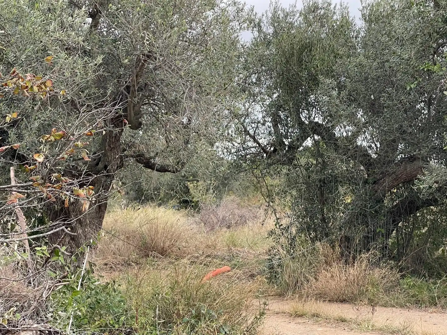 Terreno en venta en Cambrils