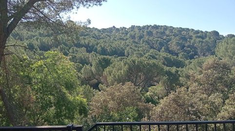 Foto 5 de Finca rústica en venda a Las Jaras, Córdoba Capital
