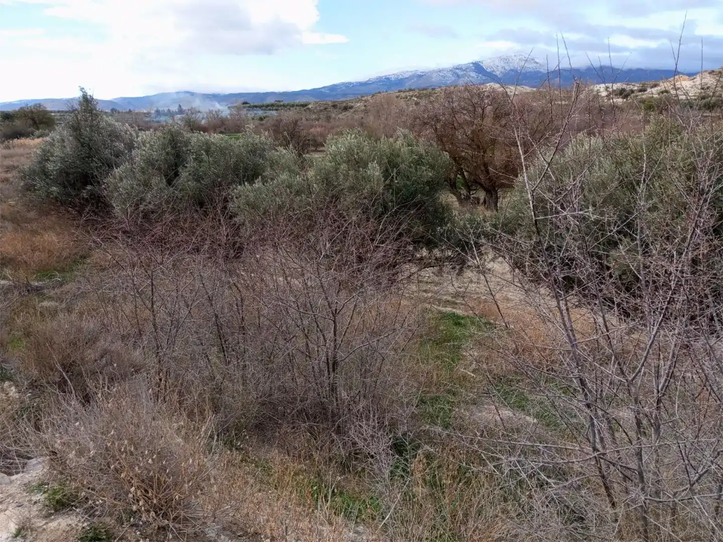 Casa o chalet en venta en Baza