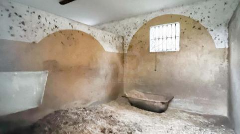 Photo 4 of Premises to rent in  Calle Poligono 32 Parcela256, Parce, Benajarafe, Málaga