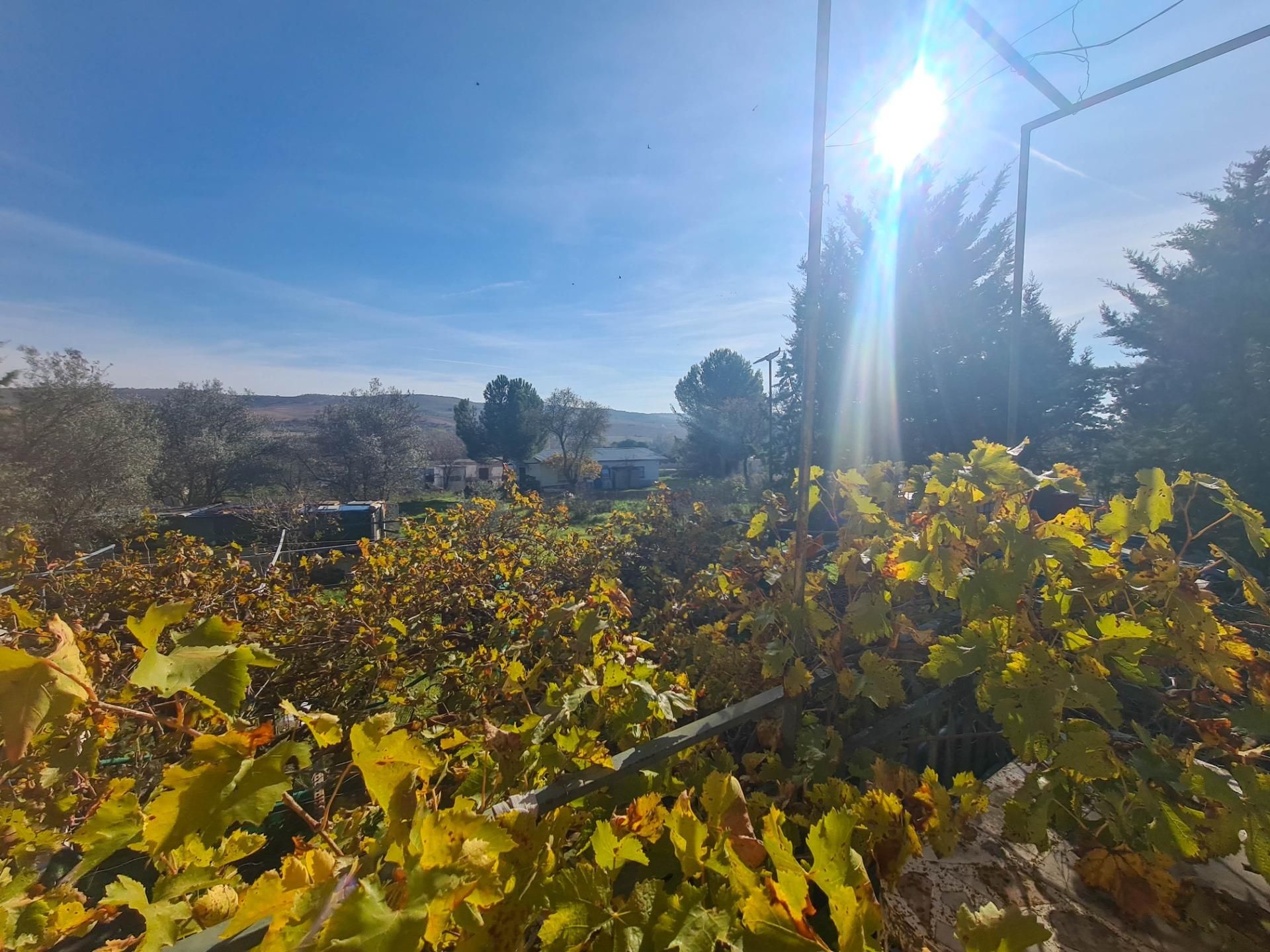 Casa o xalet en venda en Serracines amb Jardí privat, Terrassa i Piscina comunitària