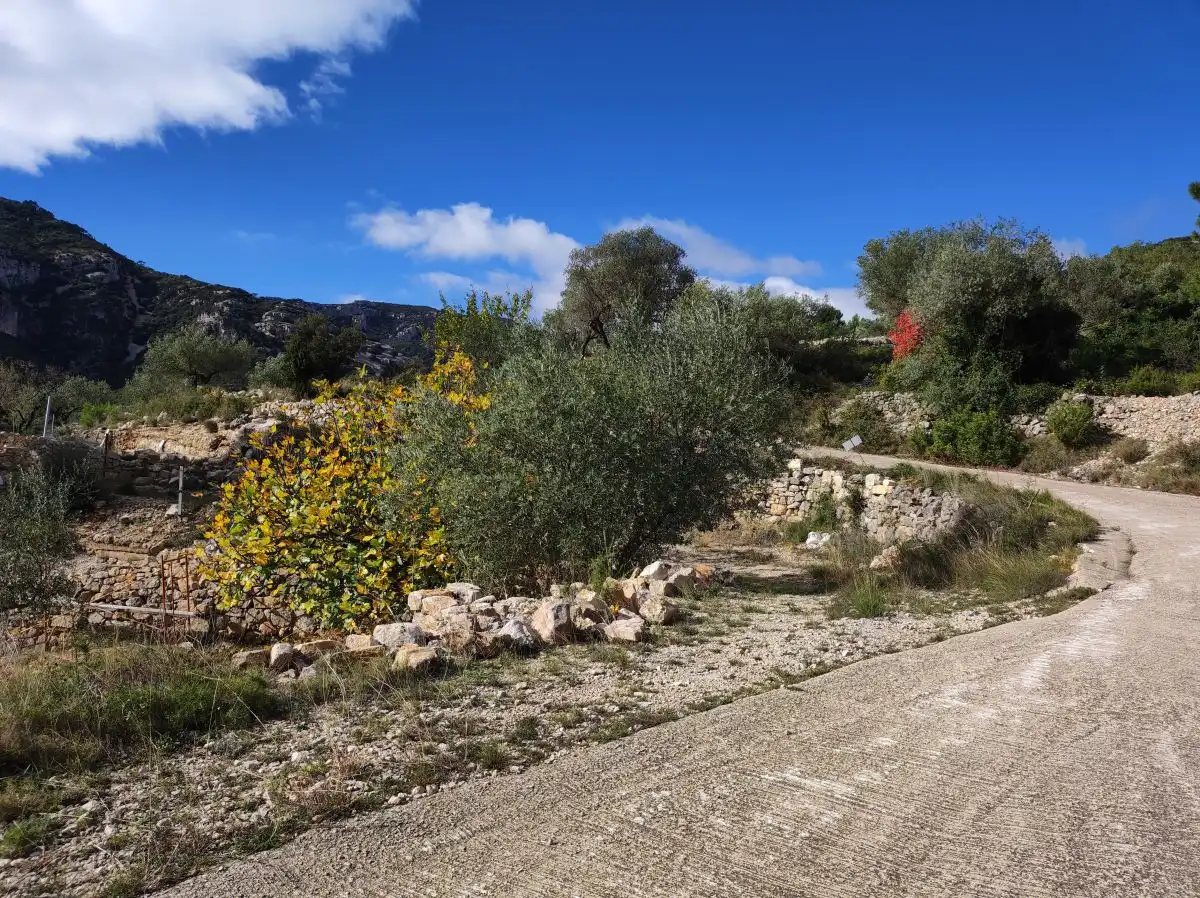 Landhaus zum Verkauf in Partida Valldebous, imagen 6