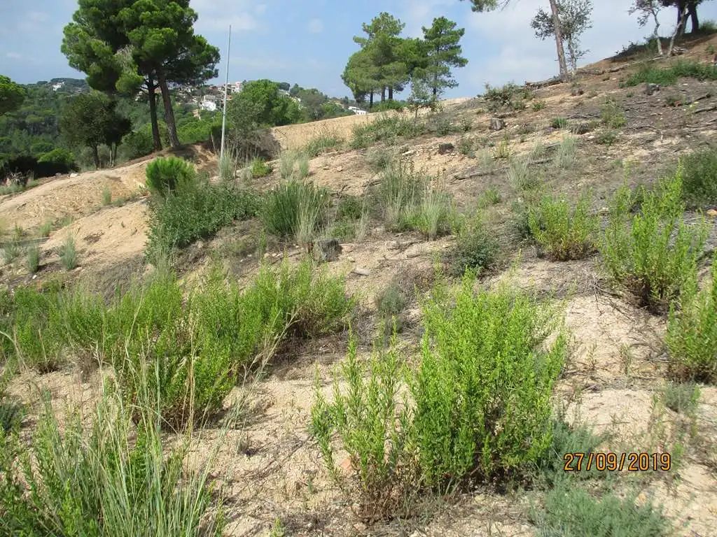 Terreno residencial en venta en Carrer de Montserrat Roig, imagen 3