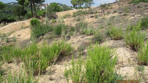TORDERA (Barcelona). c/ Montserrat Roig, 15 (Urb. "San Daniel")., imatge 3