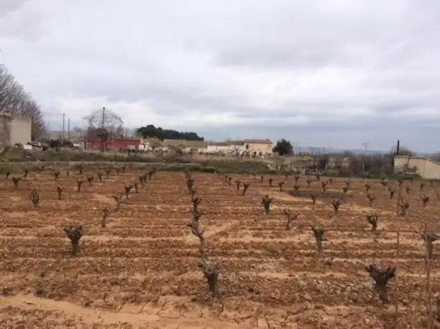 Terrain résidentiel à vendre à Requena, imagen 7