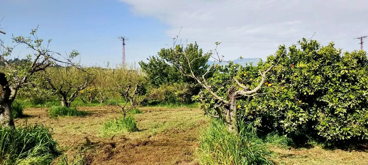 Lands and plots for sale in Roquetes, imagen 12
