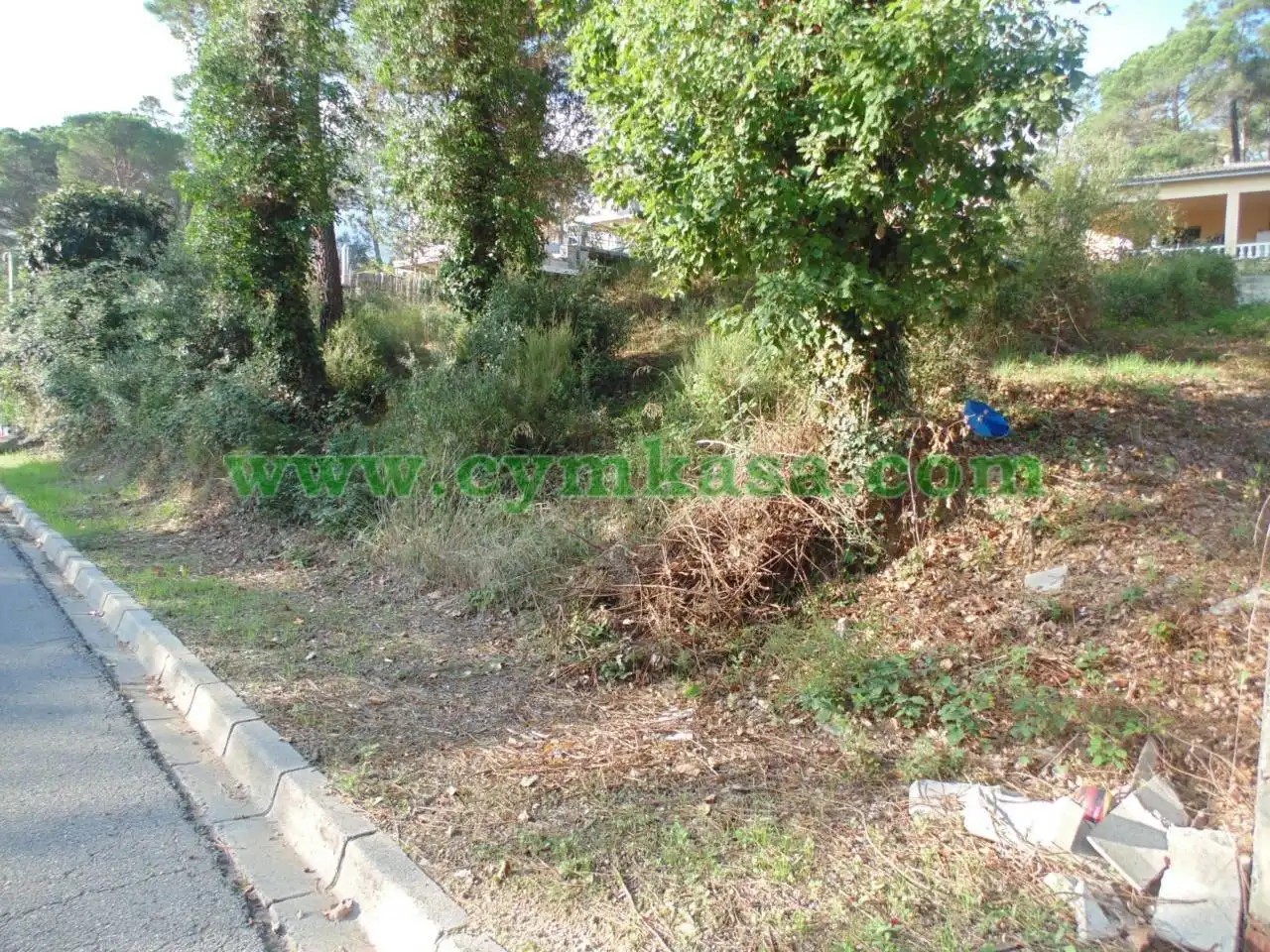 Terreno rústico en venta en Residencial Park, imagen 5