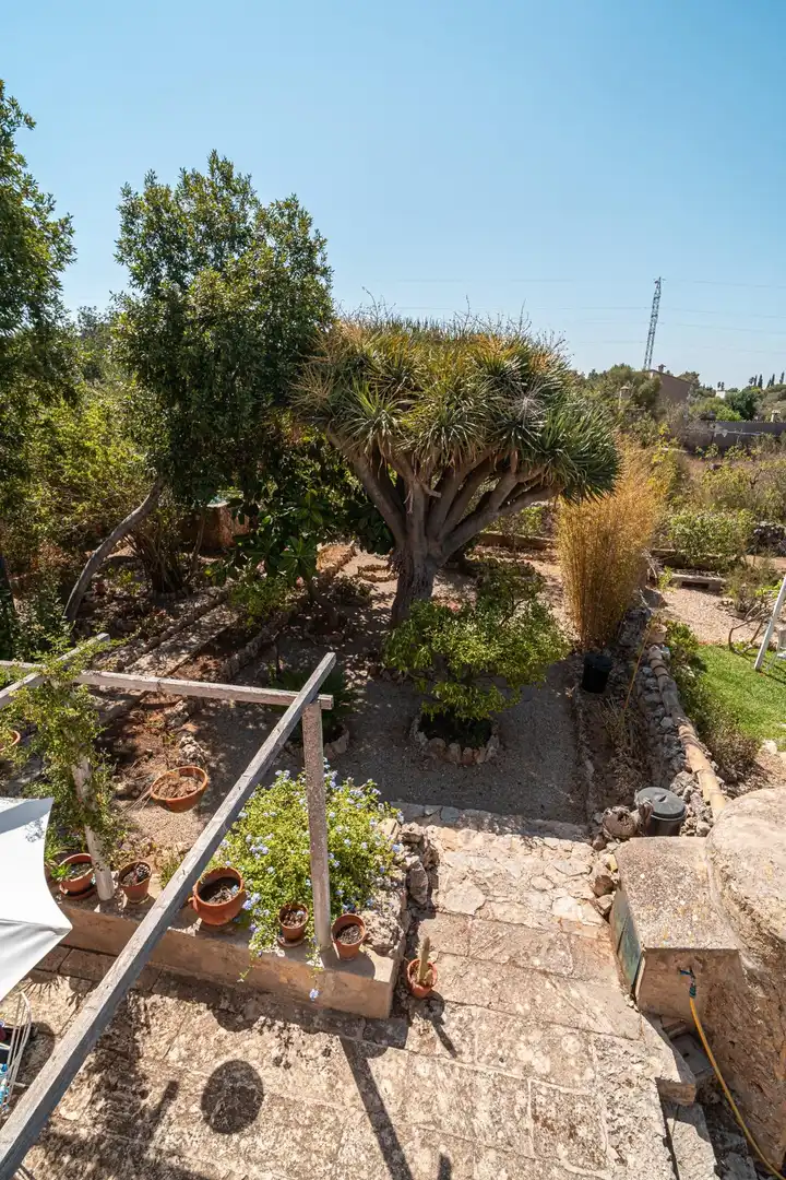 Garden of Country homes for sale in Marratxí  with Terrace, Storage room and Furnished