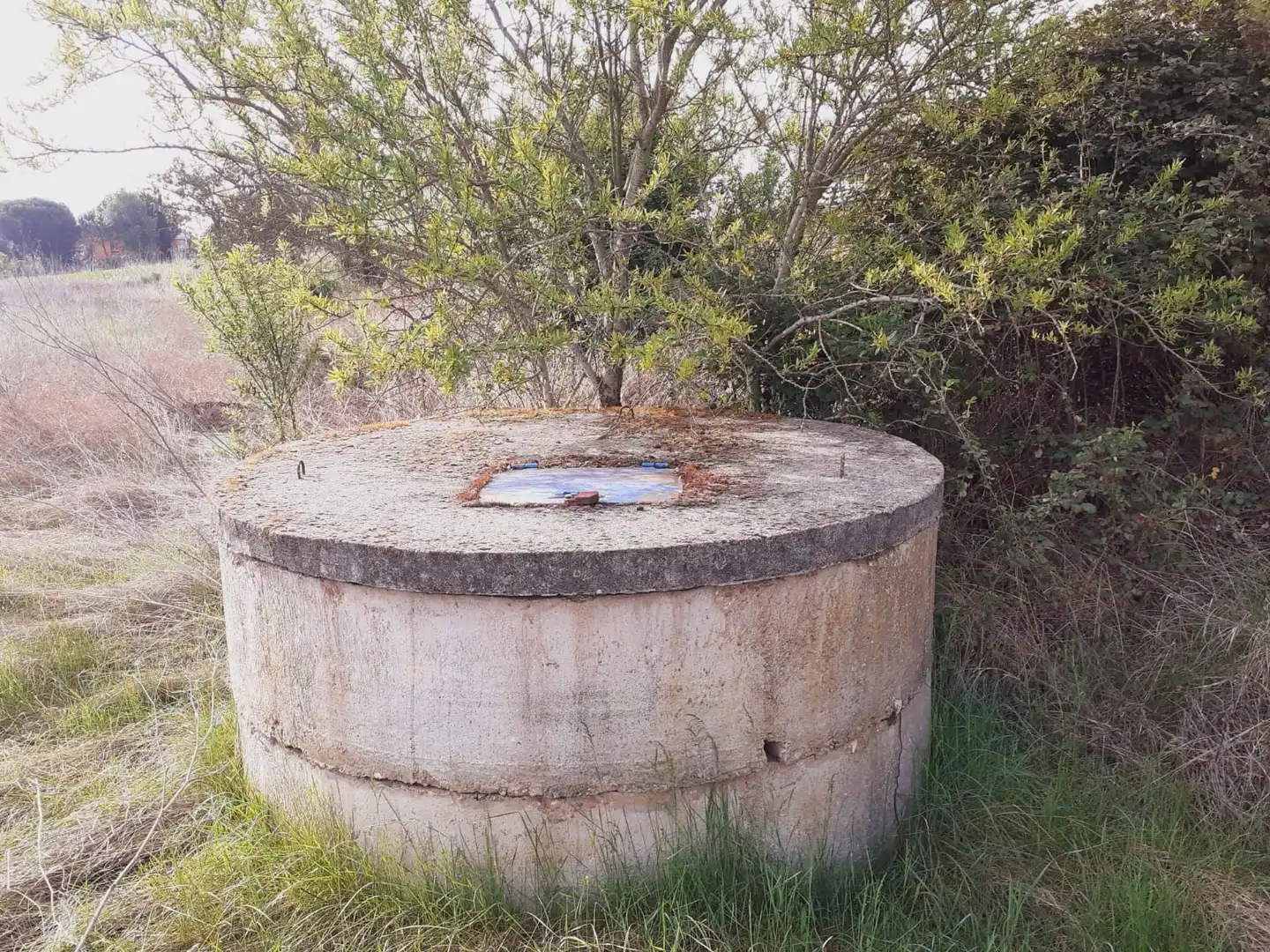 Terreni e lotti in vendita a Área Rural, imagen 2