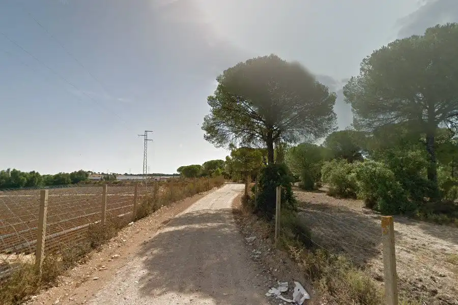 Terreni e lotti in vendita a Moguer, imagen 2